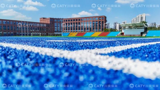 블루 EPDM 고무 Granules 날씨 저항력 경주 트랙에 좋은 충격 흡수