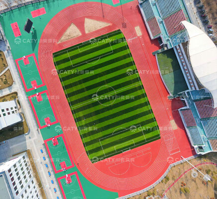 Factory-Cured Semi-Prefabricated Running Track , IAAF Certified Roll for Rapid Professional Installation